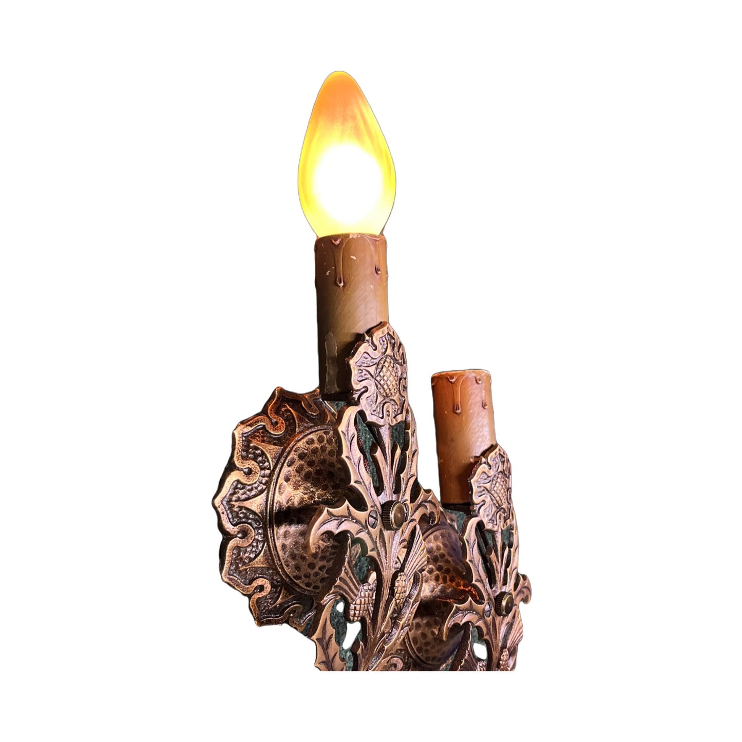 Case Bronze Thistle Wall Sconces