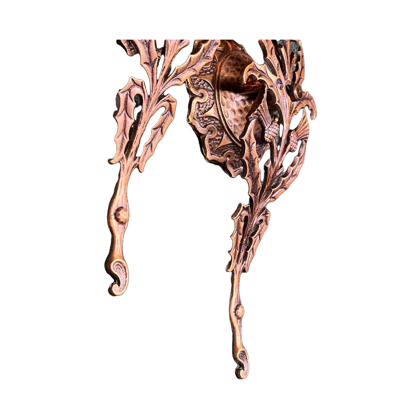 Case Bronze Thistle Wall Sconces