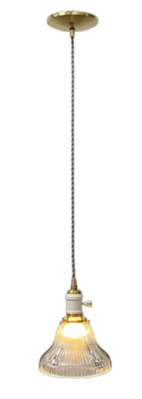 Bell Holophane Wire Pendant circa 1906 #2515