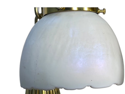 Polished Brass Sheffield Light with Grapevines and 8 Steuben Art Glass Shades #2564