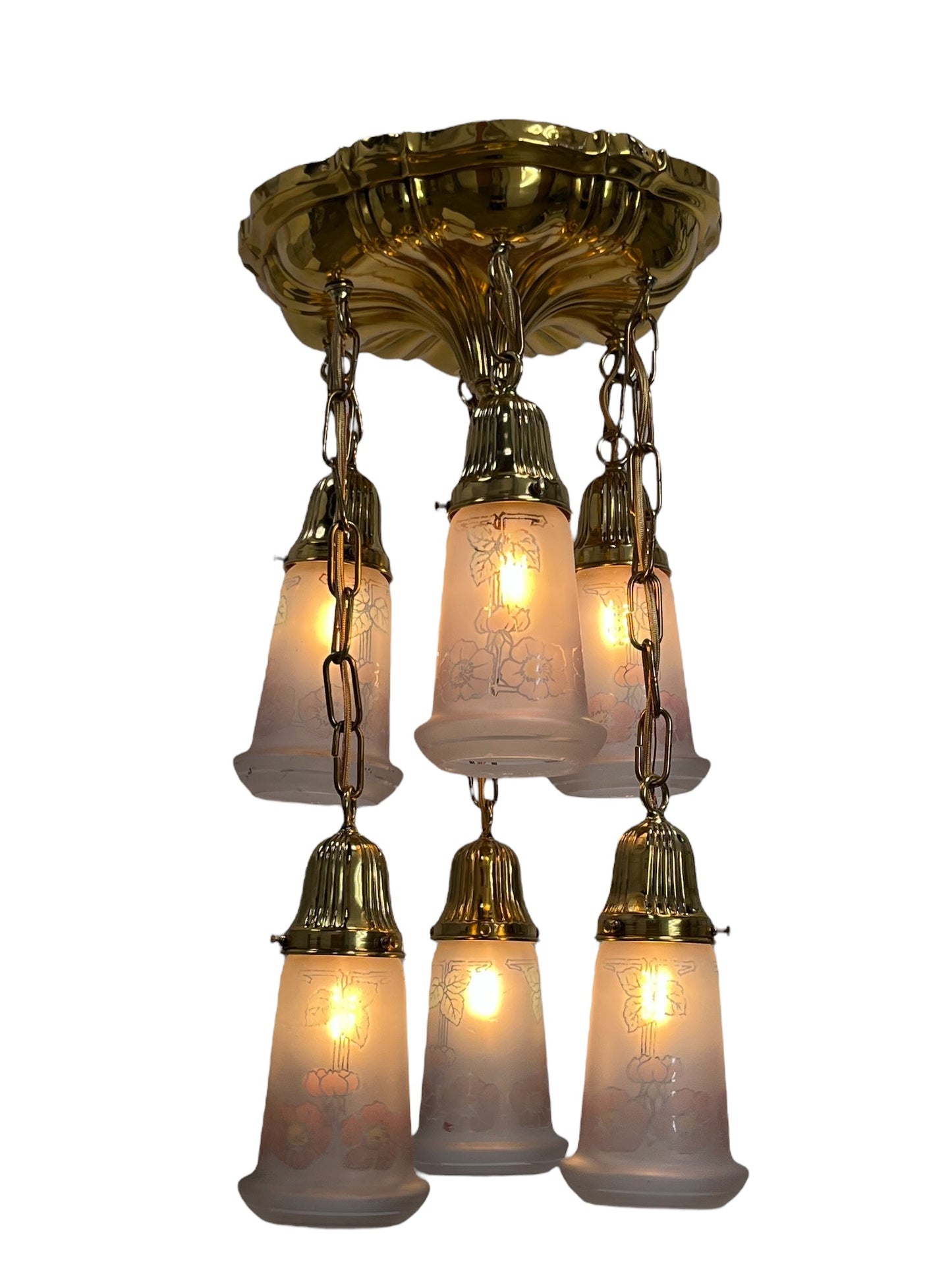 Small Sheffield Shower Light in Polished Brass with 6 Floral Shades #2571