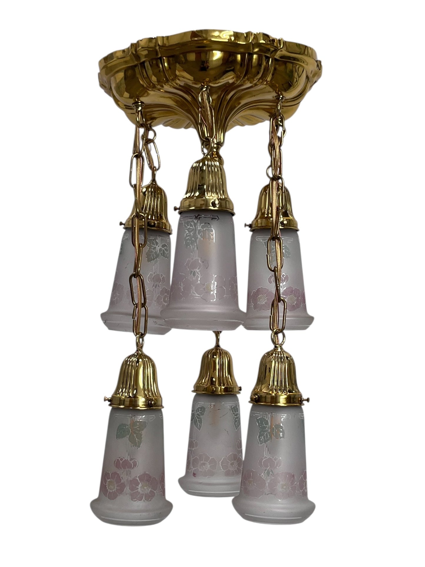 Small Sheffield Shower Light in Polished Brass with 6 Floral Shades #2571