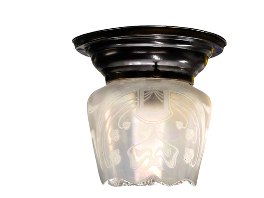 Iridescent Nouveau Shade with Etched Whiplash Art Nouveau Design on Antique Brass Fixture #2644