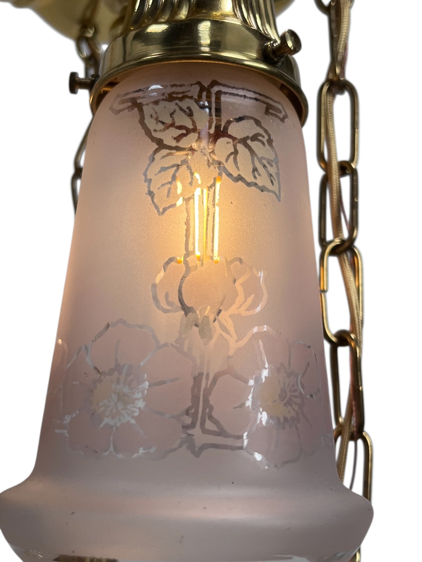 Small Sheffield Shower Light in Polished Brass with 6 Floral Shades #2571